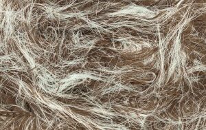 FUR